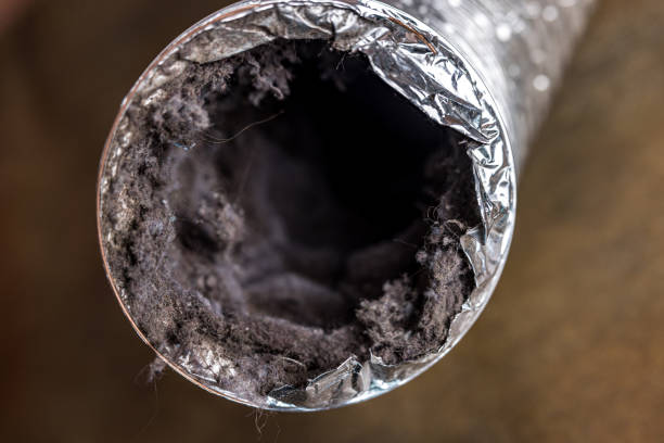 Best Air Duct Sanitizing Services  in Tomahawk, WI