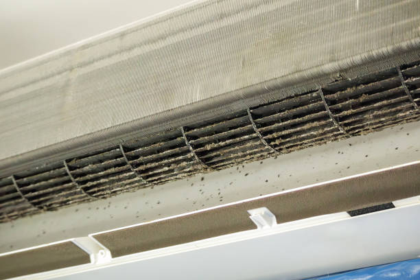 Best Affordable HVAC Duct Cleaning  in Tomahawk, WI